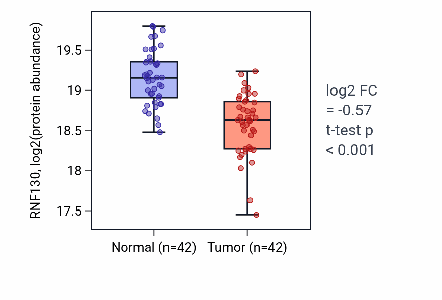 Tumor-vs-normal mass-spec protein box plot for RNF130 in LSCC.