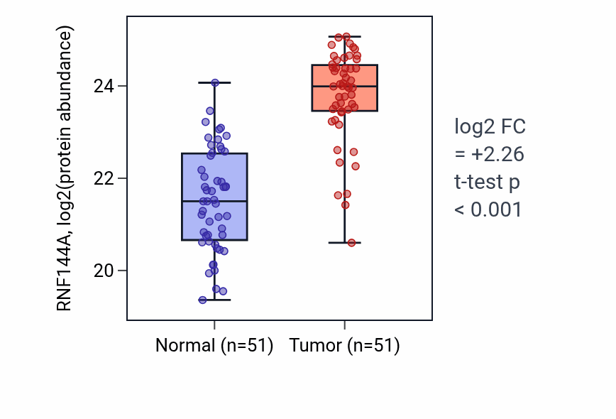 Tumor-vs-normal mass-spec protein box plot for RNF144A in HNSC.