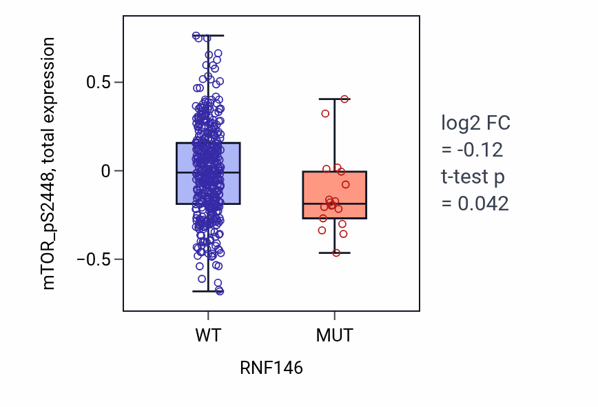 Box plot of mTOR_pS2448 in RNF146-low vs RNF146-high samples in UCEC.