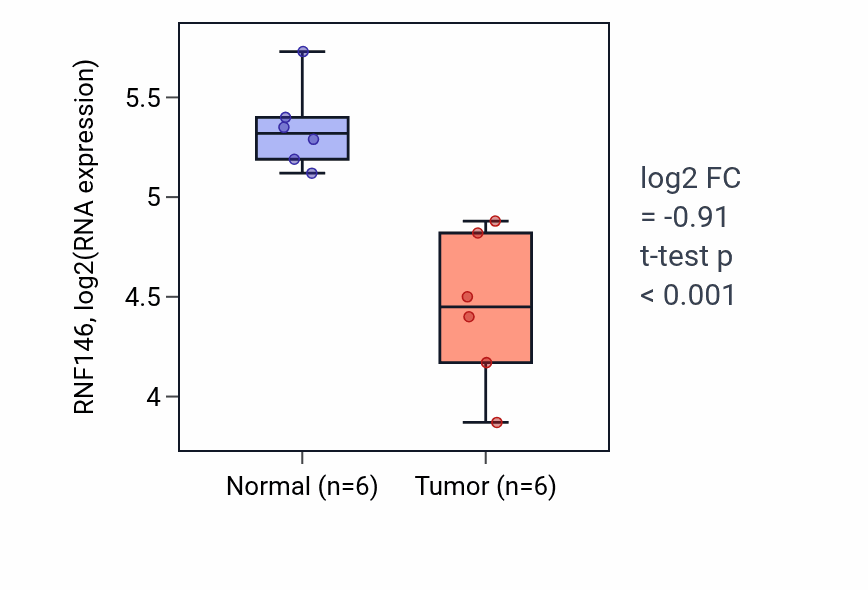 Tumor-vs-normal expression box plot for RNF146 RNA in LUSC.