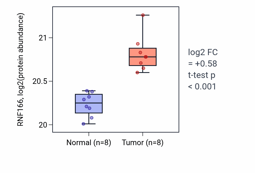 Tumor-vs-normal mass-spec protein box plot for RNF166 in CCRCC.