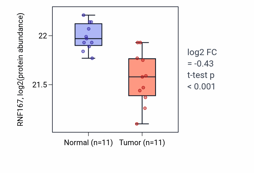 Tumor-vs-normal mass-spec protein box plot for RNF167 in CCRCC.