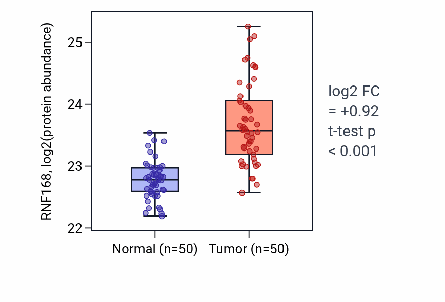 Tumor-vs-normal mass-spec protein box plot for RNF168 in LSCC.
