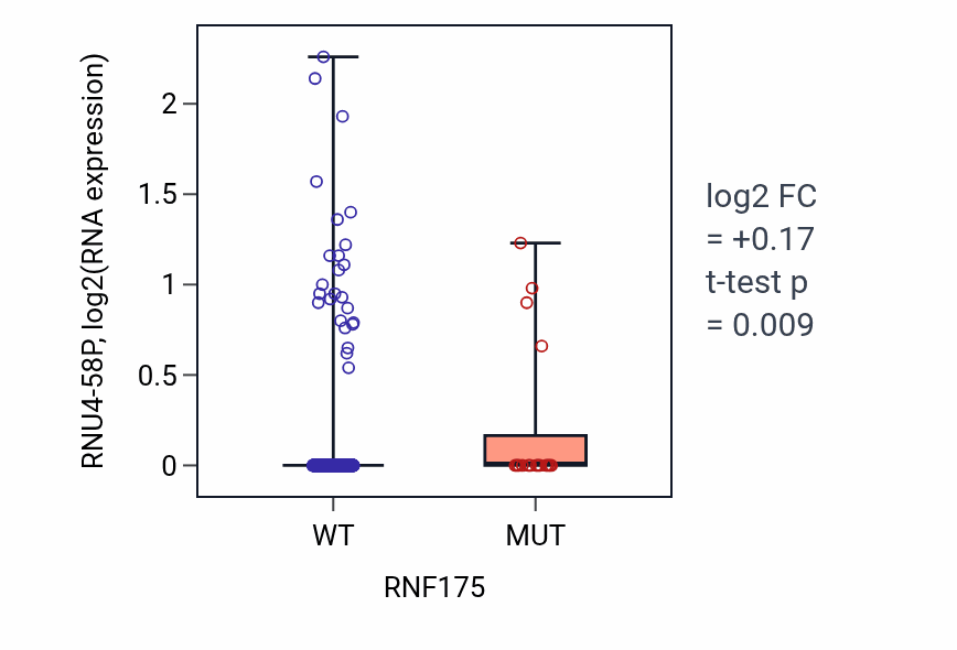 Box plot of RNU4-58P in RNF175-low vs RNF175-high samples in UCEC.