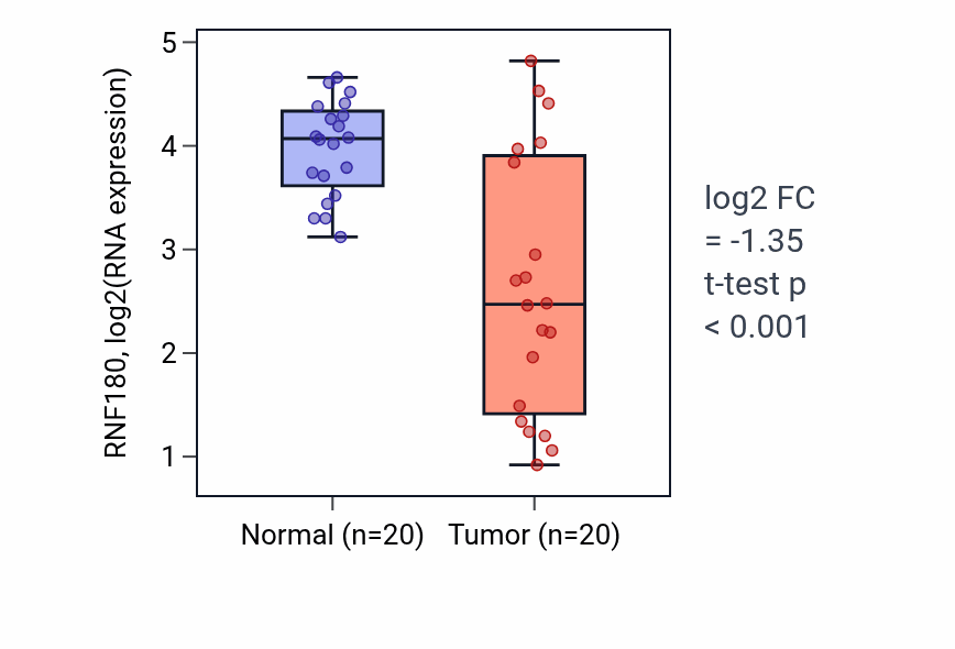 Tumor-vs-normal expression box plot for RNF180 RNA in KIRC.