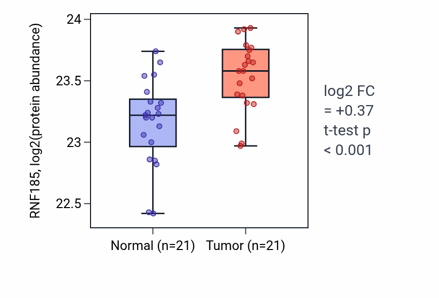 Tumor-vs-normal mass-spec protein box plot for RNF185 in HNSC.
