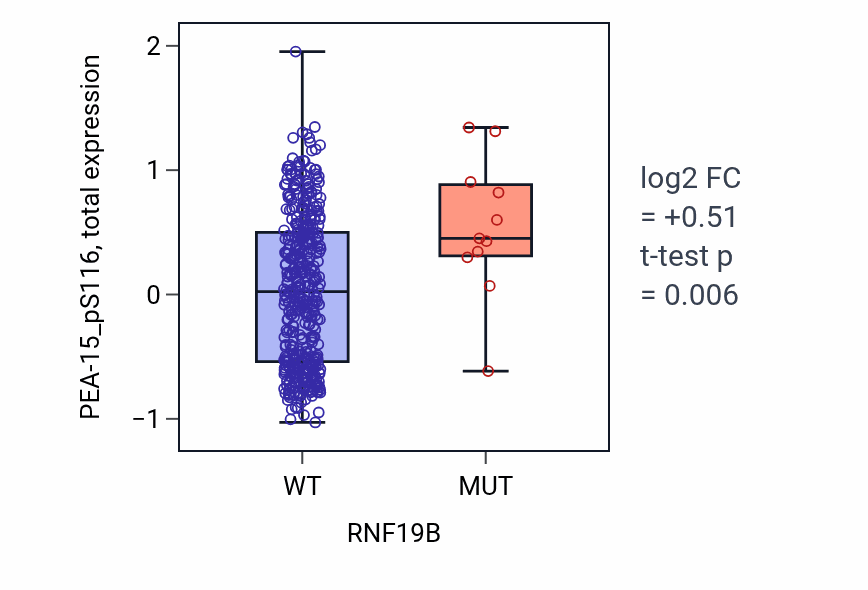 Box plot of PEA-15_pS116 in RNF19B-low vs RNF19B-high samples in UCEC.