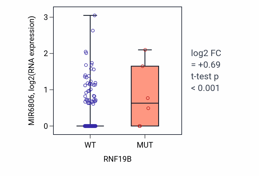 Box plot of MIR6806 in RNF19B-low vs RNF19B-high samples in STAD.