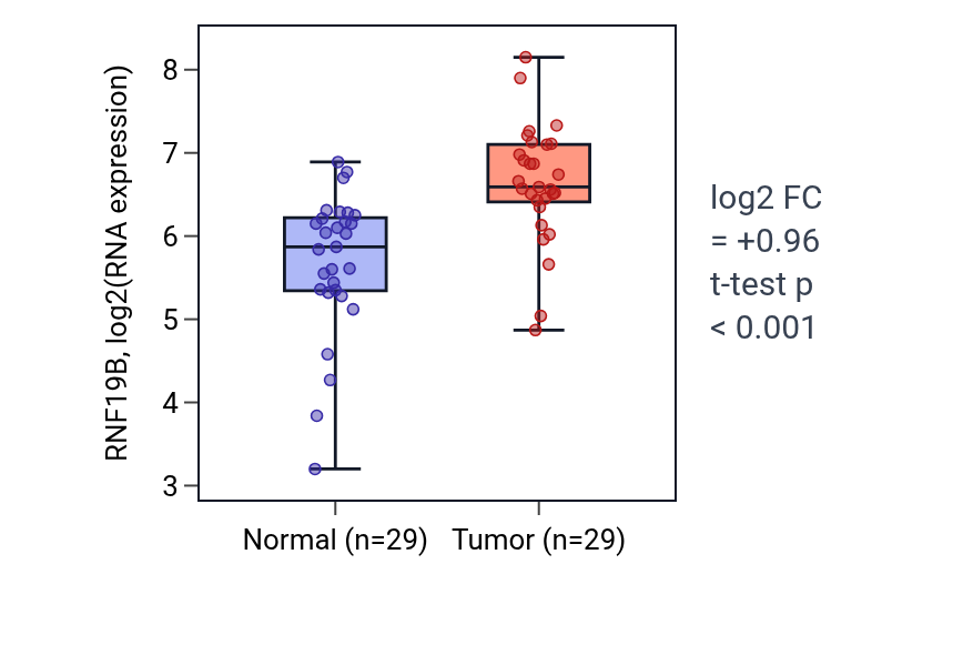 Tumor-vs-normal expression box plot for RNF19B in HNSC.