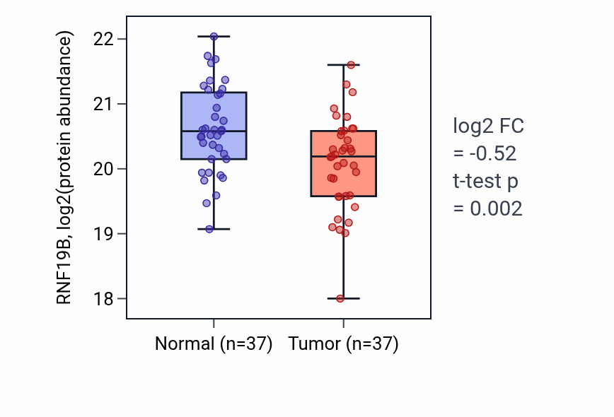 Tumor-vs-normal mass-spec protein box plot for RNF19B in HNSC.