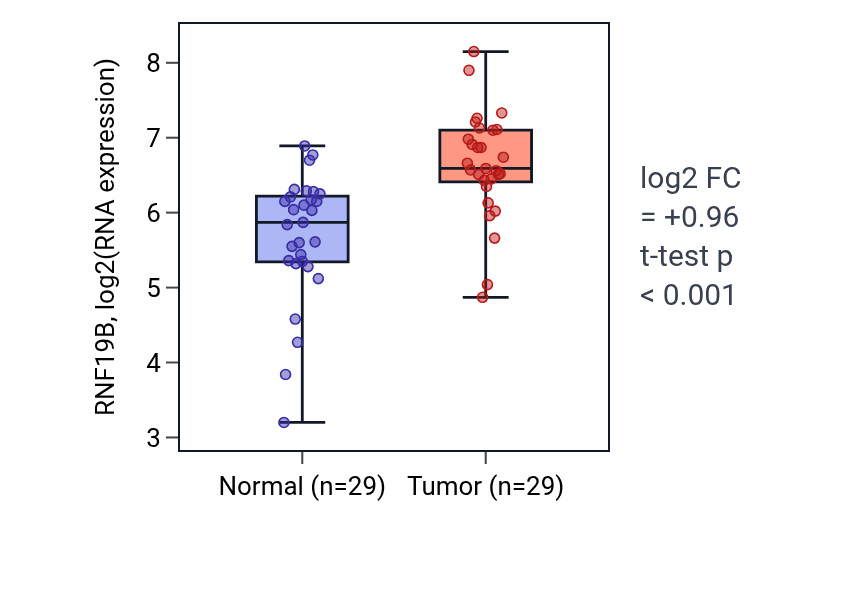 Tumor-vs-normal expression box plot for RNF19B RNA in HNSC.