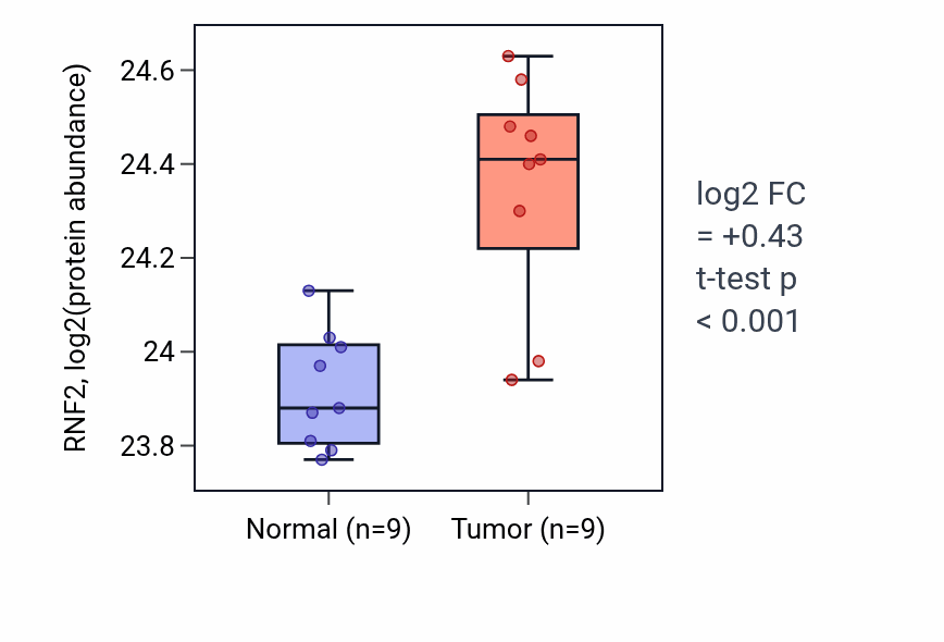 Tumor-vs-normal mass-spec protein box plot for RNF2 in LSCC.