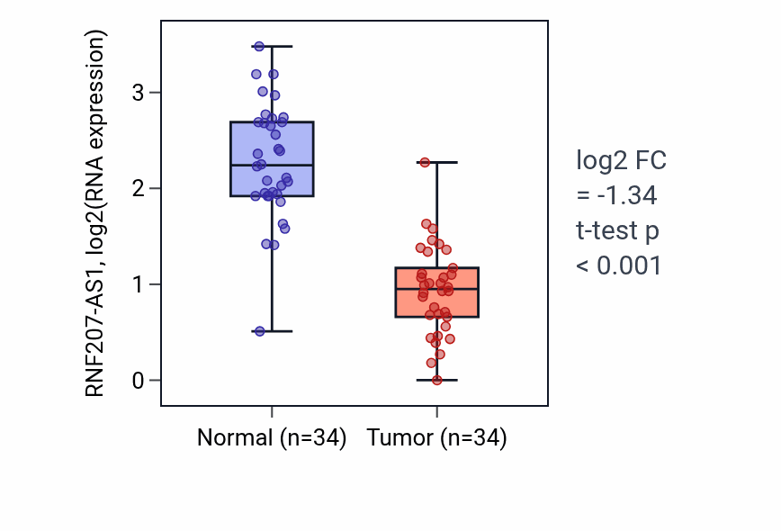 Tumor-vs-normal expression box plot for RNF207-AS1 in KIRC.