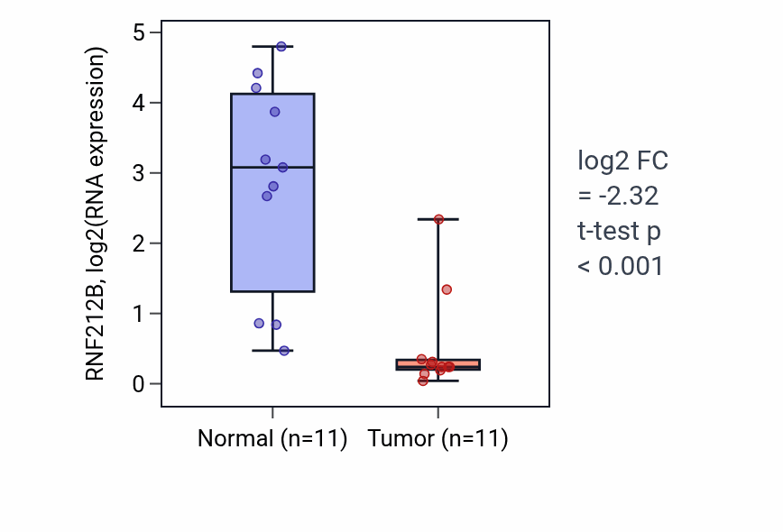 Tumor-vs-normal expression box plot for RNF212B in KIRP.