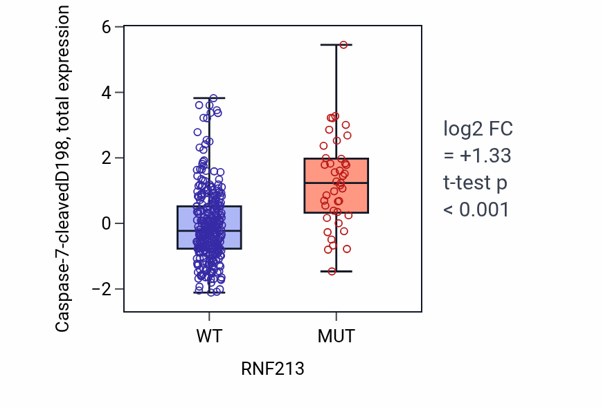 Box plot of Caspase-7-cleavedD198 in RNF213-low vs RNF213-high samples in COAD.