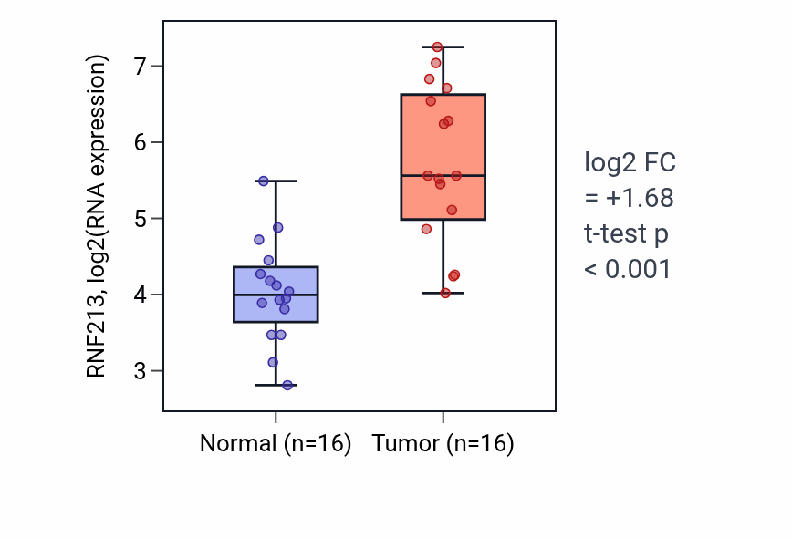Tumor-vs-normal expression box plot for RNF213 RNA in KIRP.