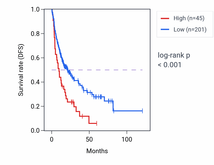 Kaplan&ndash;Meier survival curve for RNF216-IT1 RNA expression in LIHC: high vs low expression groups.
