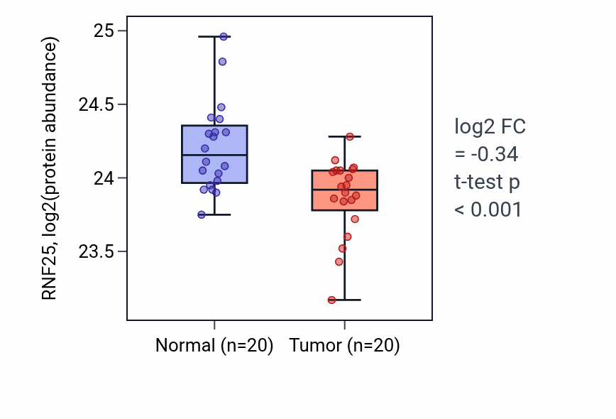Tumor-vs-normal mass-spec protein box plot for RNF25 in PDAC.