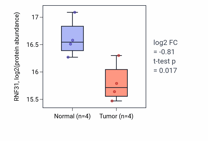 Tumor-vs-normal mass-spec protein box plot for RNF31 in HNSC.
