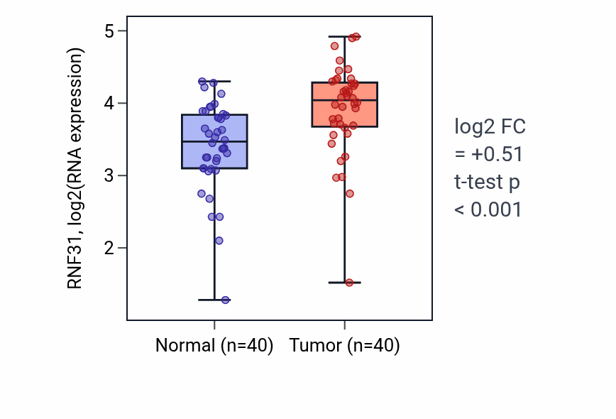 Tumor-vs-normal expression box plot for RNF31 RNA in HNSC.