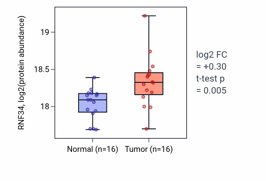 Tumor-vs-normal mass-spec protein box plot for RNF34 in CCRCC.
