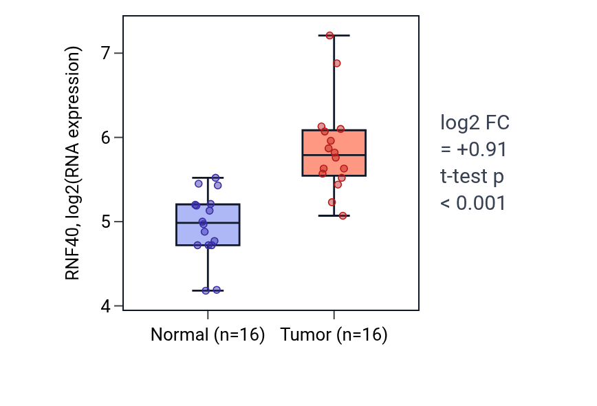 Tumor-vs-normal expression box plot for RNF40 in KIRP.