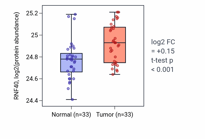 Tumor-vs-normal mass-spec protein box plot for RNF40 in COAD.