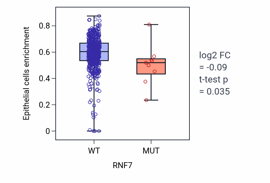 Box plot of Epithelial cells in RNF7-low vs RNF7-high samples in UCEC.