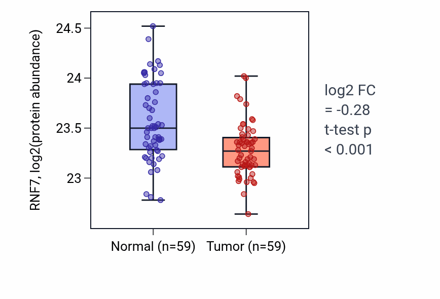Tumor-vs-normal mass-spec protein box plot for RNF7 in HNSC.