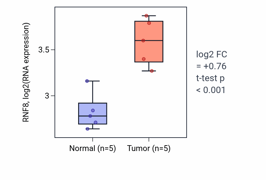Tumor-vs-normal expression box plot for RNF8 RNA in COAD.