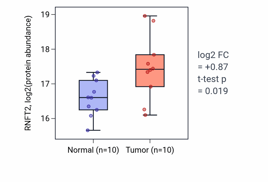 Tumor-vs-normal mass-spec protein box plot for RNFT2 in LSCC.
