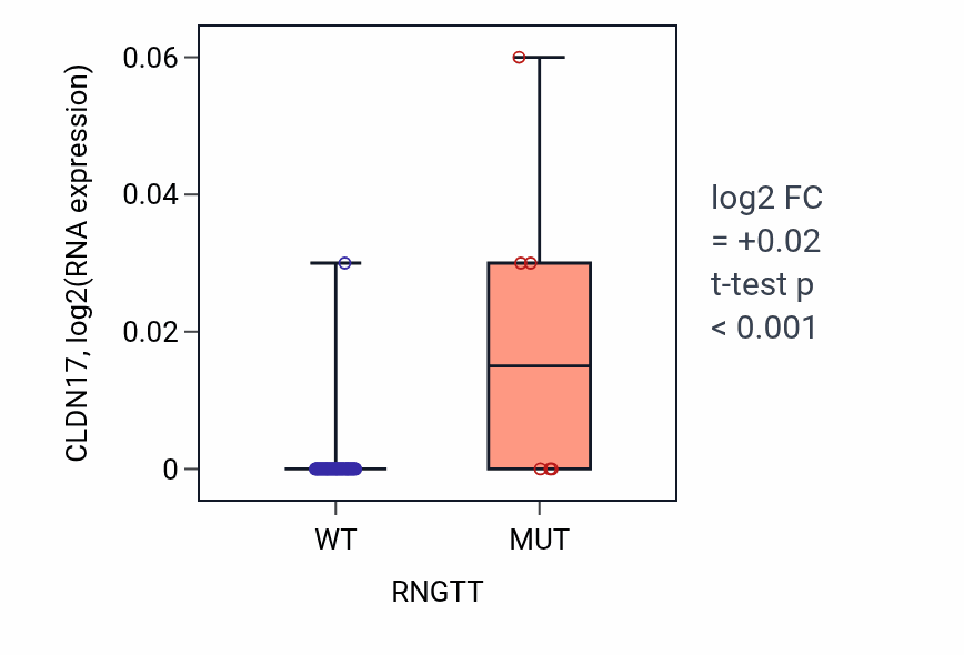 Box plot of CLDN17 in RNGTT-low vs RNGTT-high samples in LUNG_NSCLC_LUAD.