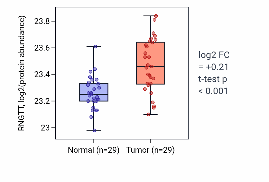 Tumor-vs-normal mass-spec protein box plot for RNGTT in CCRCC.