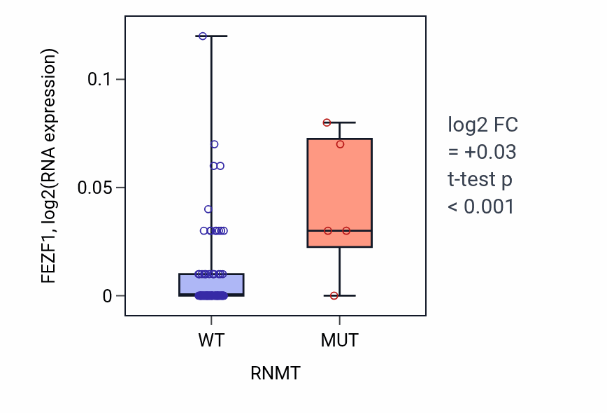 Box plot of FEZF1 in RNMT-low vs RNMT-high samples in BLOOD_Leukemia.