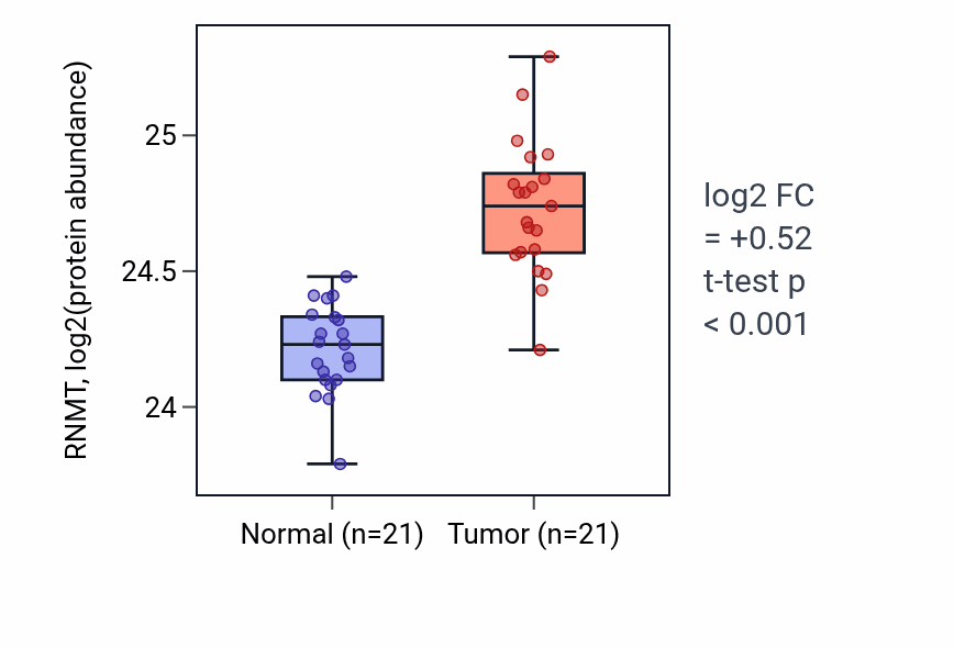 Tumor-vs-normal mass-spec protein box plot for RNMT in HNSC.
