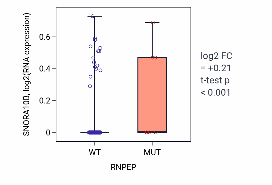 Box plot of SNORA10B in RNPEP-low vs RNPEP-high samples in CESC.