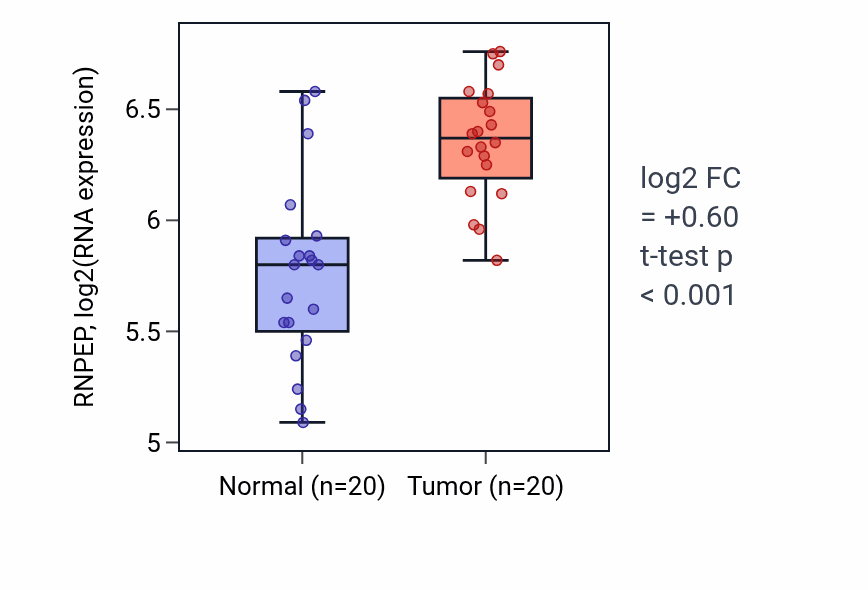 Tumor-vs-normal expression box plot for RNPEP RNA in KIRC.