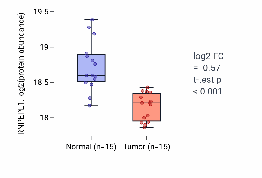 Tumor-vs-normal mass-spec protein box plot for RNPEPL1 in HNSC.