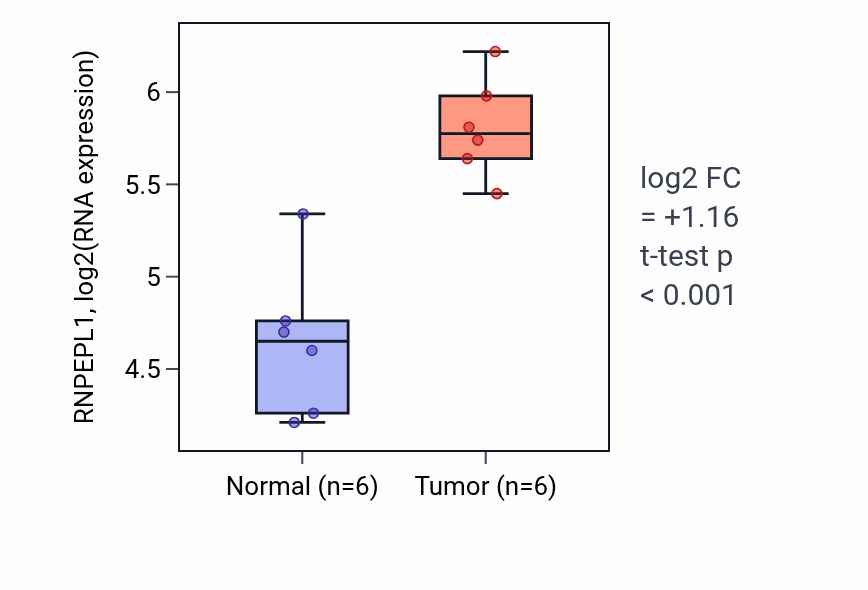 Tumor-vs-normal expression box plot for RNPEPL1 RNA in KIRC.