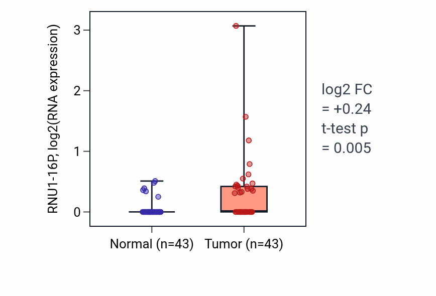 Tumor-vs-normal expression box plot for RNU1-16P in HNSC.