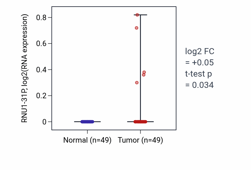 Tumor-vs-normal expression box plot for RNU1-31P in LUSC.