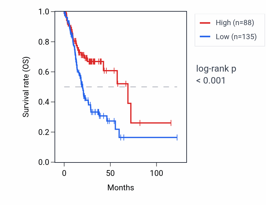 Kaplan&ndash;Meier survival curve for RNU1-58P RNA expression in STAD: high vs low expression groups.