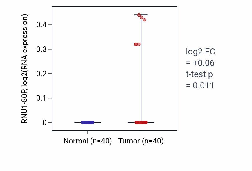 Tumor-vs-normal expression box plot for RNU1-80P in HNSC.