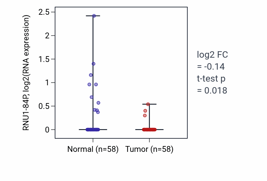 Tumor-vs-normal expression box plot for RNU1-84P in THCA.