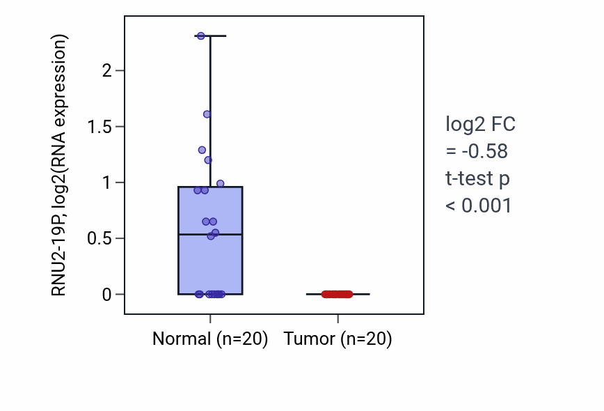 Tumor-vs-normal expression box plot for RNU2-19P in KIRC.