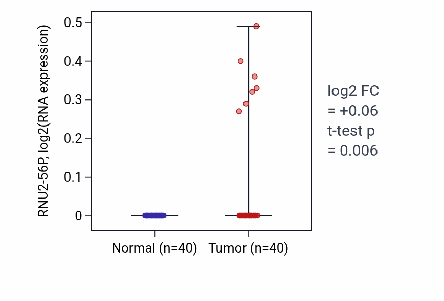 Tumor-vs-normal expression box plot for RNU2-56P in HNSC.