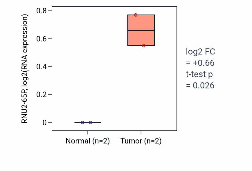 Tumor-vs-normal expression box plot for RNU2-65P in UCEC.