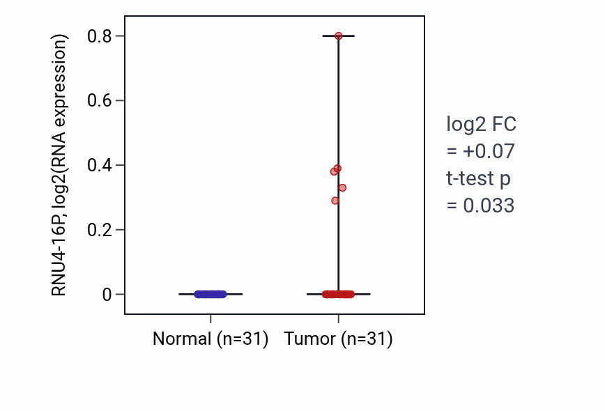 Tumor-vs-normal expression box plot for RNU4-16P in KIRP.