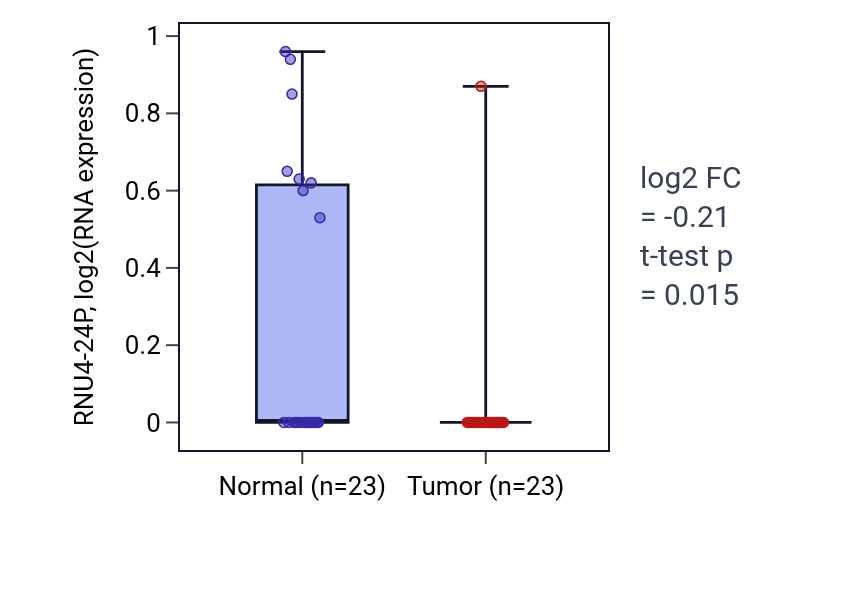 Tumor-vs-normal expression box plot for RNU4-24P in UCEC.