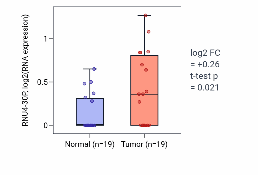 Tumor-vs-normal expression box plot for RNU4-30P in STAD.